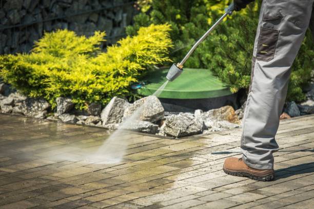 Best Gutter Cleaning and Brightening in Jonesboro, IL